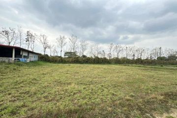 Land for sale in Chom Phu, Chiang Mai