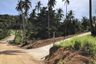 Land for sale in Mae Nam, Surat Thani