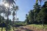 Land for sale in Mae Nam, Surat Thani