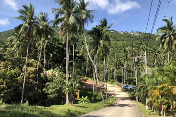 Land for sale in Mae Nam, Surat Thani