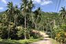 Land for sale in Mae Nam, Surat Thani