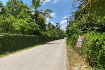 Land for sale in Mae Faek Mai, Chiang Mai