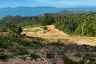 Land for sale in Mae Nam, Surat Thani