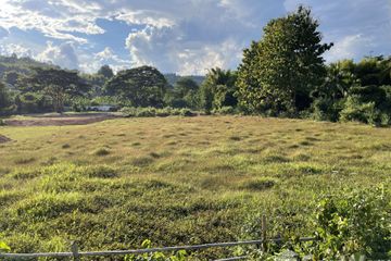 Land for sale in Huai Sai, Chiang Mai