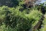 Land for sale in Pa Phai, Chiang Mai