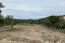 Land for sale in Mae Nam, Surat Thani