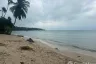 Land for sale in Maret, Surat Thani