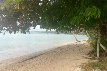 Land for sale in Maret, Surat Thani