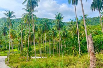 Land for sale in Taling Ngam, Surat Thani