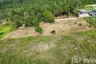 Land for sale in Mae Nam, Surat Thani