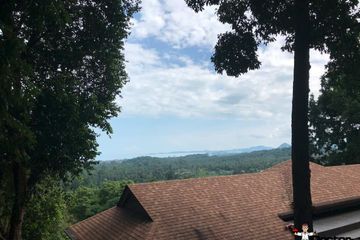 Land for sale in Mae Nam, Surat Thani