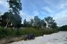 Land for sale in Ko Pha-ngan, Surat Thani