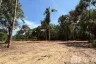 Land for sale in Taling Ngam, Surat Thani