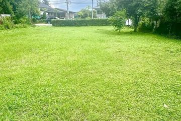 Land for sale in Suthep, Chiang Mai