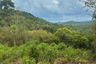 Land for sale in Taling Ngam, Surat Thani