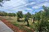 Land for sale in Mae Nam, Surat Thani