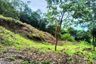 Land for sale in Maret, Surat Thani