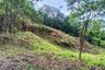 Land for sale in Maret, Surat Thani