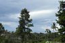 Land for sale in Bo Phut, Surat Thani
