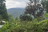 Land for sale in Suthep, Chiang Mai
