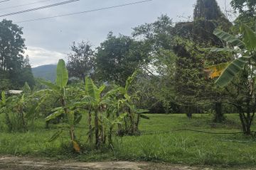 Land for sale in Suthep, Chiang Mai