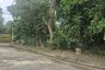 Land for sale in Suthep, Chiang Mai