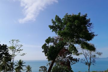 Land for sale in Mae Nam, Surat Thani