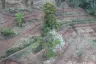 Land for sale in Pong Yaeng, Chiang Mai