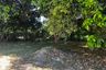 Land for sale in Bo Phut, Surat Thani