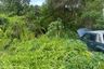 Land for sale in Bo Phut, Surat Thani