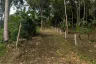 Land for sale in Taling Ngam, Surat Thani