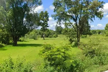Land for sale in Kut Chiang Mi, Yasothon