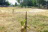 Land for sale in Hin Lek Fai, Prachuap Khiri Khan