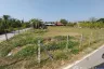 Land for sale in Nong Yaeng, Chiang Mai