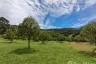 Land for sale in Mae Nam, Surat Thani