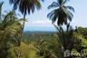 Land for sale in Ban Tai, Surat Thani
