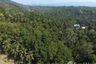 Land for sale in Ban Tai, Surat Thani
