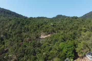 Land for sale in Ban Tai, Surat Thani