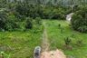 Land for sale in Maret, Surat Thani