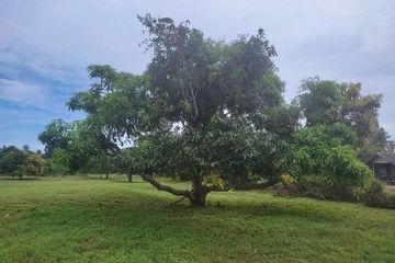 Land for sale in Sam Roi Yot, Prachuap Khiri Khan