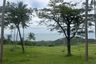 Land for sale in Mae Nam, Surat Thani
