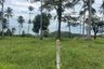 Land for sale in Mae Nam, Surat Thani