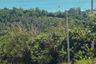Land for sale in Mae Nam, Surat Thani