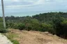 Land for sale in Mae Nam, Surat Thani
