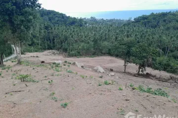 Land for sale in Mae Nam, Surat Thani