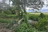 Land for sale in Han Kaeo, Chiang Mai