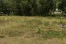 Land for sale in Bo Phut, Surat Thani
