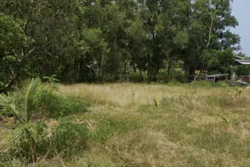 Land for sale in Bo Phut, Surat Thani