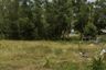 Land for sale in Bo Phut, Surat Thani