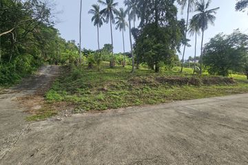 Land for sale in Taling Ngam, Surat Thani